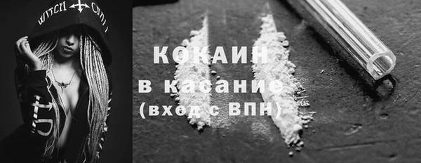 дурь Няндома