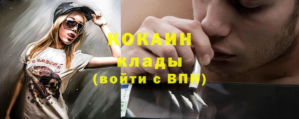 дурь Няндома