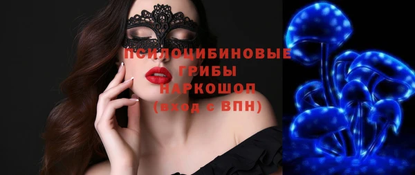 дурь Няндома