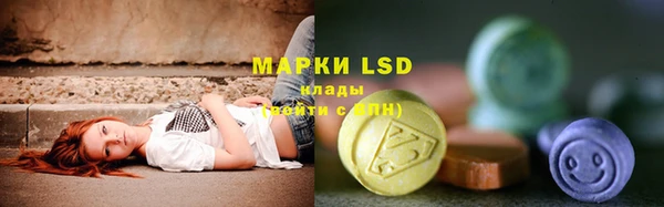 дурь Няндома