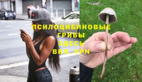 дурь Няндома