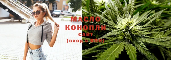 дурь Няндома