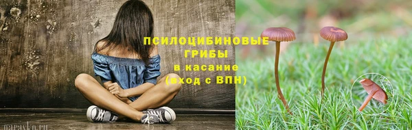 тгк Нязепетровск