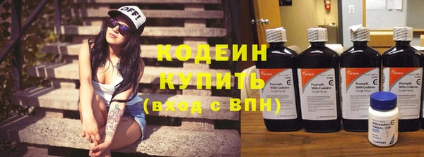дурь Няндома