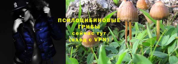 тгк Нязепетровск