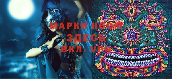 дурь Няндома