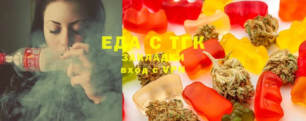 дурь Няндома