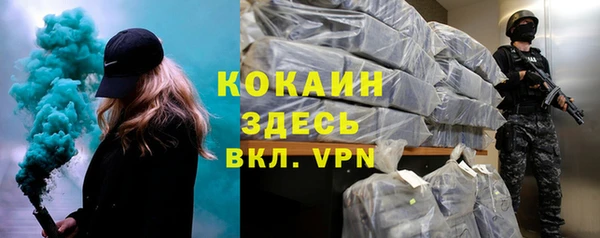 дурь Няндома